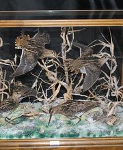 Lanaud Petot Virginie image 14