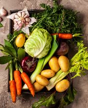 Foodservice Brüning ist ihr zertifizierter Großhandel für Obst, Gemüse, exotische Früchte und Feinkost auf Sylt. Frische, Qualität und zuverlässiger Kundenservice sorgen für eine hohe Zufriedenheit unserer Kunden.

 „Gehe immer mit der Zeit“ ist unser Motto, dies spiegeln wir auch durch unsere vertrauensvolle und freundschaftliche Zusammenarbeit mit unseren Kunden: von der Bestellung bis hin zur Lieferung wider. Wir liefern täglich rund um die Uhr für ihre Zufriedenheit.