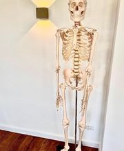 Nord-Osteopathie Bild 4