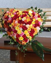 Blumen Rohner GmbH Bild 2