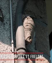 Farago Cantal image 7