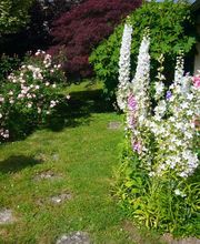 Allais et Fils image 4