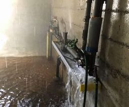 BPM Bulle Trocknung Wasserschaden