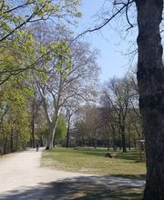 FaszienAtelier Bild 3