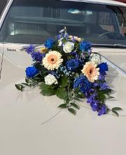 Blumen Haider Bild 16