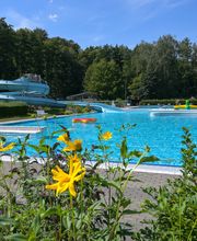 Waldbad Colditz Bild 5