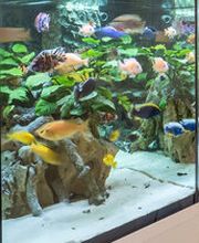 KFO Dr. Martina Rasche Bild 4