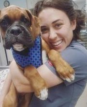 Animal Urgent Care image 6