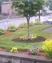 MAS Landscaping & Snow Removal image 17