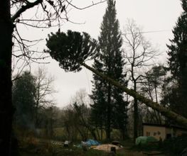 Barlet image 1