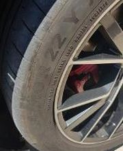 Euromaster Gomauto 2006 imagen 11