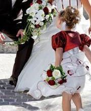 Jardinerie Bretière image 4