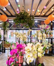 Janval Fleuri image 1