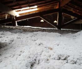 Ecolomique image 15