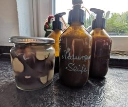 Die Waldfrauen Bild 6