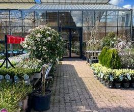 Intratuin Leidsche Rijn afbeelding 13