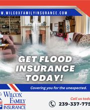 Wilcox Family Insurance Company image 1