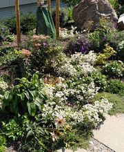 Fellmann Gartenbau AG Bild 6