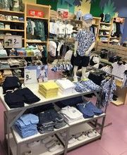 Orchestra NOGENT LE ROTROU image 6