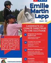 Construisons Ensemble l'Equitation de Demain image 7