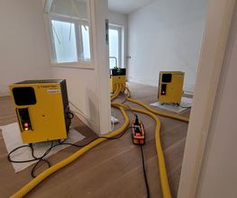 ACEOGREEN SA Bild 6
