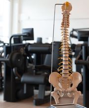 Physiotherapie Brüttisellen Bild 4