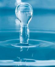 Henry-Lignon Corinne image 2