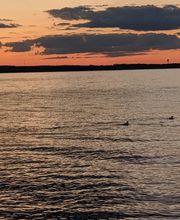 Your Boat Club Mille Lacs Lake Garrison image 13