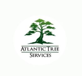 Atlantic Tree Services