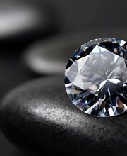 Schwarz Bestattungsdienst Erding Bild 3