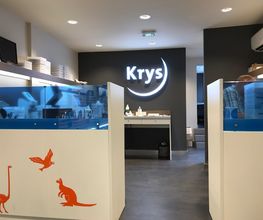 Opticien Krys image 4