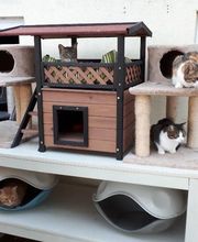 L'arche de Corinne image 5