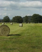 Les Ecuries D'aurabelle image 12