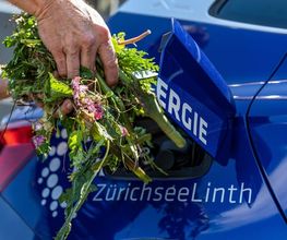 SwissFarmerPower Inwil AG Bild 9