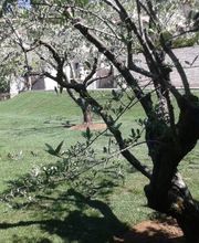 BOURJAC ELAGAGE image 6