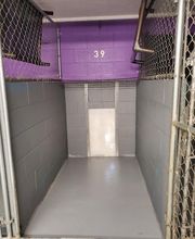 Pet Paradise image 11