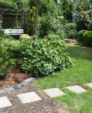 Schneider Garten Bild 2