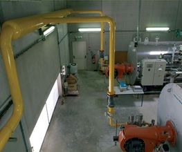 E.S.R image 3