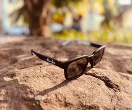 Optik Rausch Bild 16