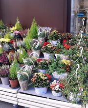 Carrément Fleurs - Fleuriste Firminy 42 - Livraison de fleurs à domicile image 5