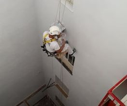 228786687-1-in2tAV9eHm1618989885208.jpeg