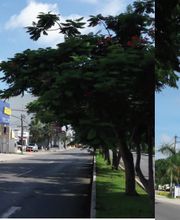 Michelin Car Service -Llantasur City Center imagen 8