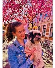 Hundesalon Wuff & Fellness Bild 1