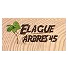 Elague Arbres 45