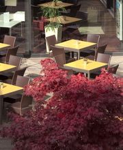 Holiday Inn Express Zürich Airport by IHG Bild 4