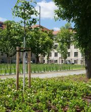 Polizeidirektion Dresden 1