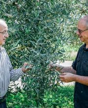 Moulin à Huile Paradis image 8