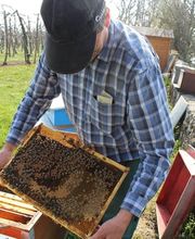 Marché Paysan Bühlmann Bild 5
