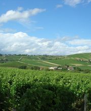 La Barbotaine Champault Frédéric image 3