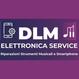 DLM Elettronica Service logo